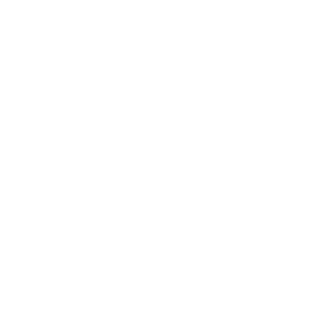 Pooja Doors Model 10